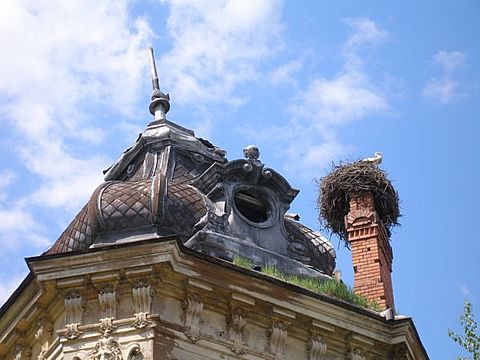 На димарі поселились лелеки