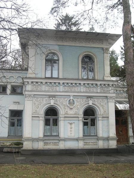 2009 р. Центральна частина головного…