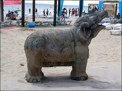 Загальний вигляд у профіль