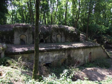 2009 р. Для легалізації фортів І…