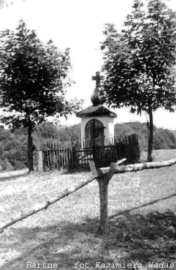 Загальний вигляд