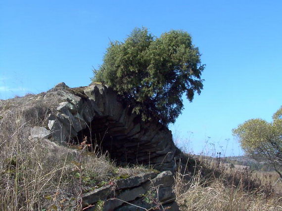 [2003..2006 р.] Залишки пивниці