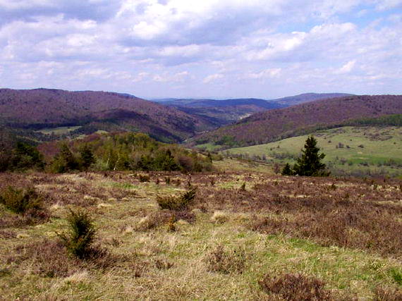 [2003..2006 р.] Краєвид місця села