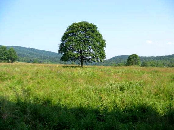 [2003..2006 р.] Краєвид