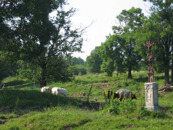 [2003..2006 р.] Загальний вигляд з…