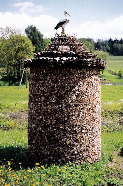 [2003..2006 р.] В отакі гриби жителі…