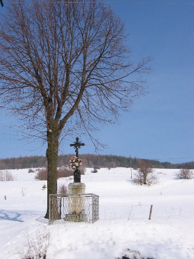 [2003..2006 р.] Загальний вигляд з…