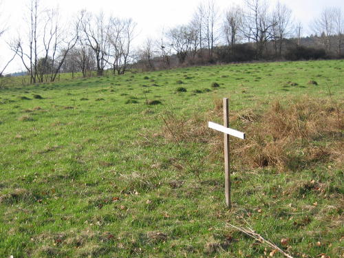 Братська могила 2-ї світової війни