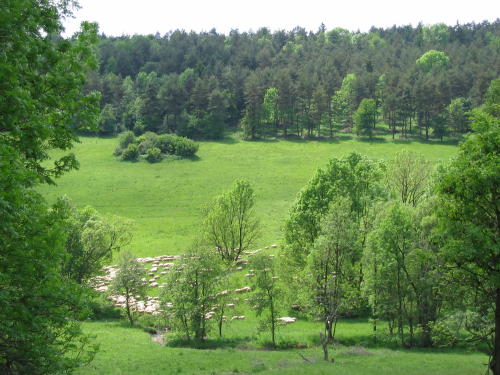 [2003..2006 р.] Вівці - господарі долини