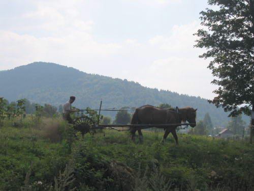 [2003..2006 р.] Оранка конем