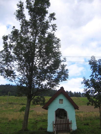 [2003..2006 р.] Каплиця