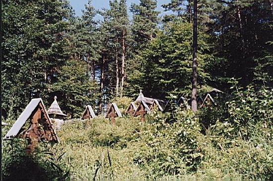 Воєнний цвинтар № 61