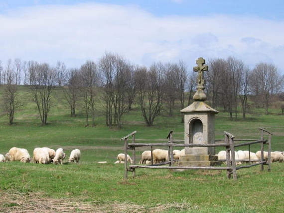 [2003..2006 р.] Загальний вигляд з…