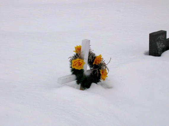 [2003..2006 р.] Могили