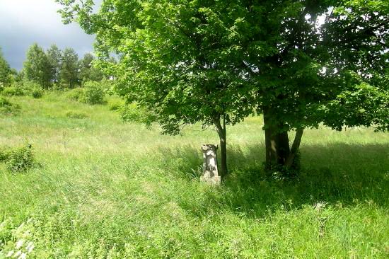 [2003..2006 р.] Залишки хреста