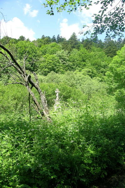 [2003..2006 р.] Хрест у хащах