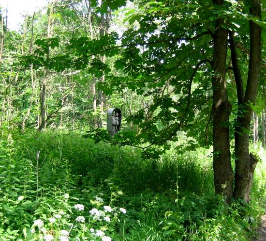 [2003..2006 р.] В хащах - фігура…