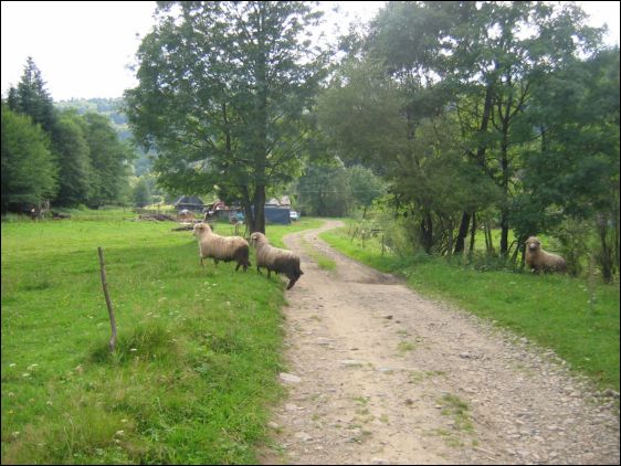 [2003..2006 р.] Краєвид села