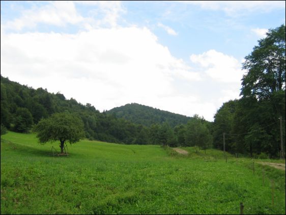 [2003..2006 р.] Краєвид