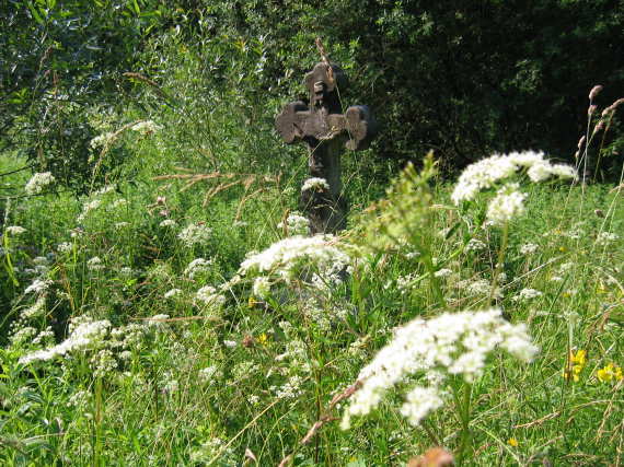 [2003..2006 р.] Загальний вигляд з…