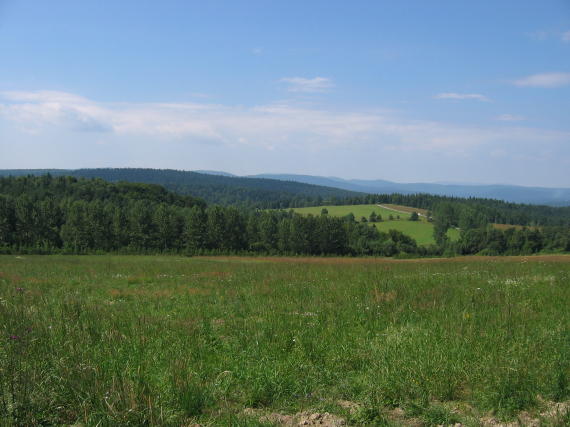 [2003..2006 р.] Краєвид