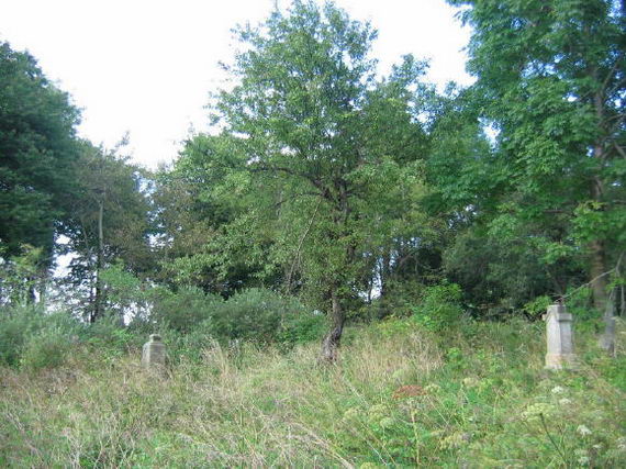 [2003..2006 р.] Загальний вигляд