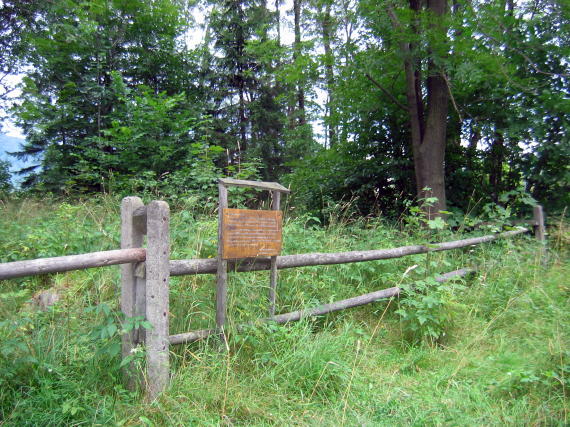 [2003..2006 р.] Огорожа