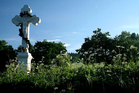 [2003..2006 р.] Загальний вигляд з…