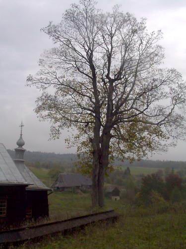 Вівтар. Вигляд з позиції А3