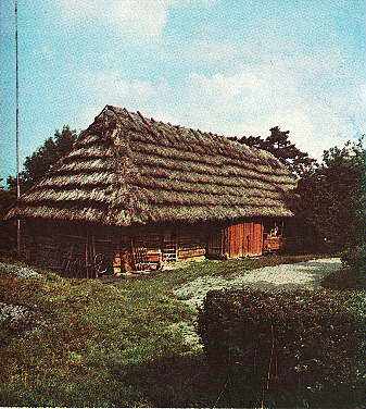 1986 р. Загальний вигляд