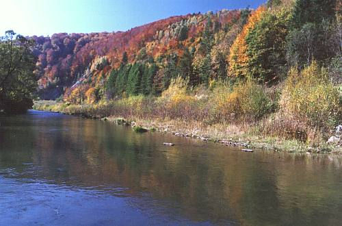 [2006 р.] Вид на річку Ропа