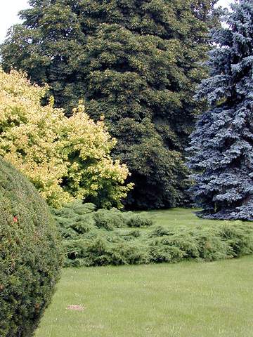 [2006 р.] У парку