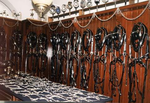 [2006 р.] Експозиція возовні