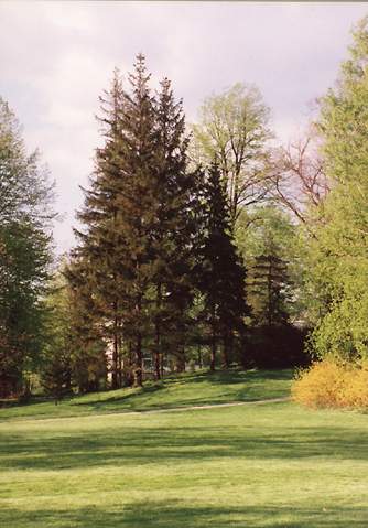 [2006 р.] У парку