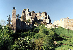 Замок Кам’янець