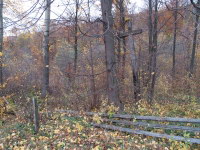 Старий цвинтар