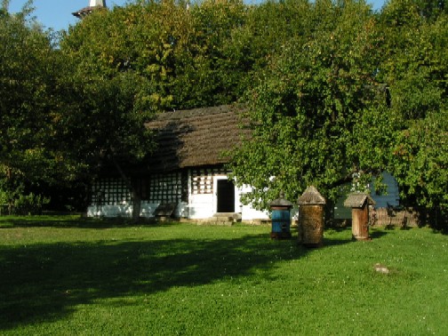 Загальний вигляд