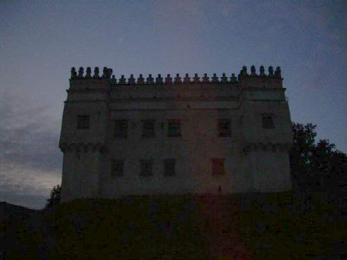 [2006 р.] Вид на тлі нічного неба