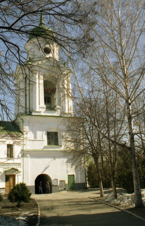 2006 р. Загальний вигляд з боку двора