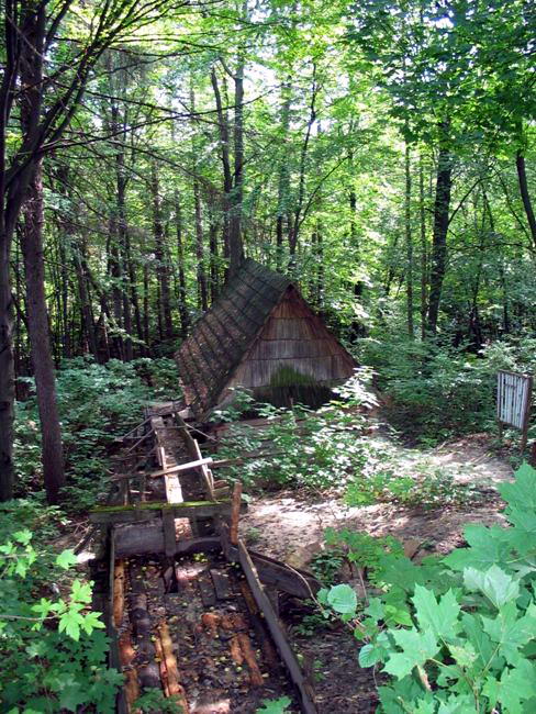 2006 р. Загальний вигляд