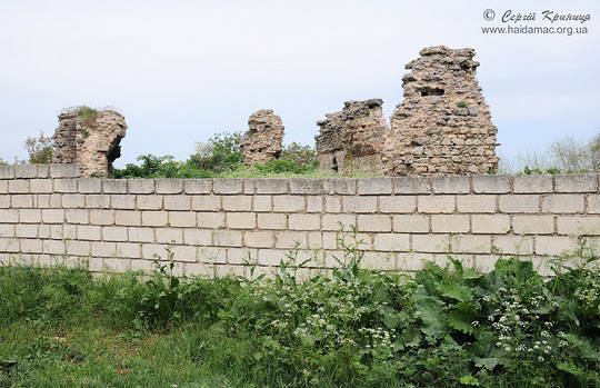 2010 р. Загальний вигляд