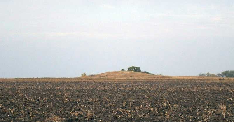 Фото 21 вересня 2014 р. з сайту commons.wikimedia.org Найбільший курган… Курганный могильник № 8219