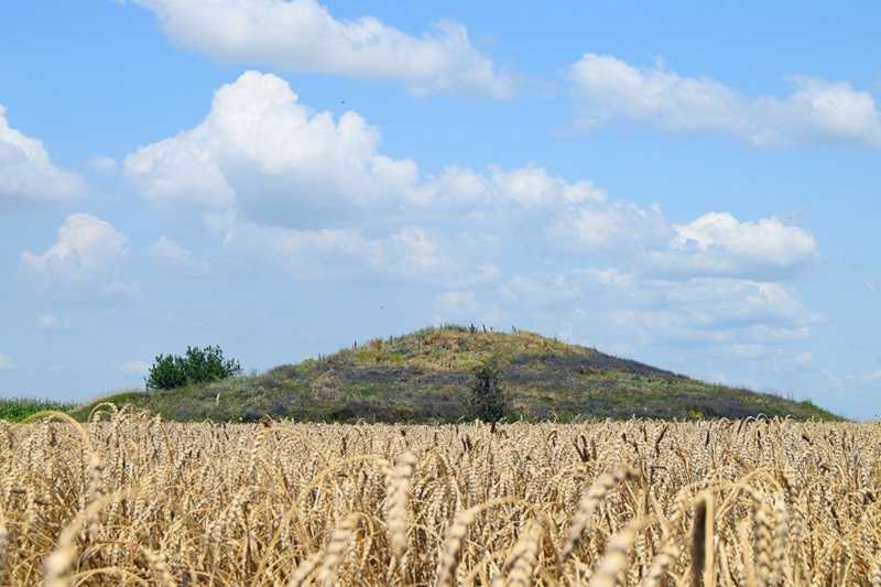 Фото 24 липня 2021 р. з сайту commons.wikimedia.org Курган «Падишева могила»… Падишева могила