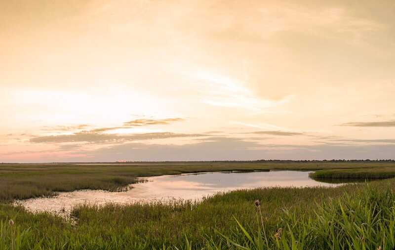 Лиман Крива Коса. Фото Антона Вакуленка 6 червня 2017 р. з сайту… Сєдове смт