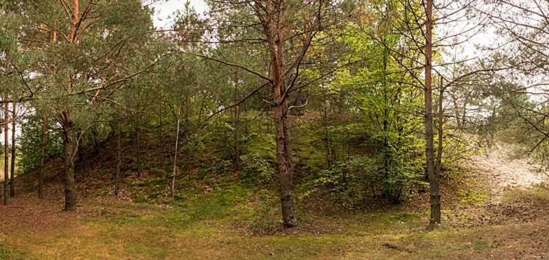 Городище і селище