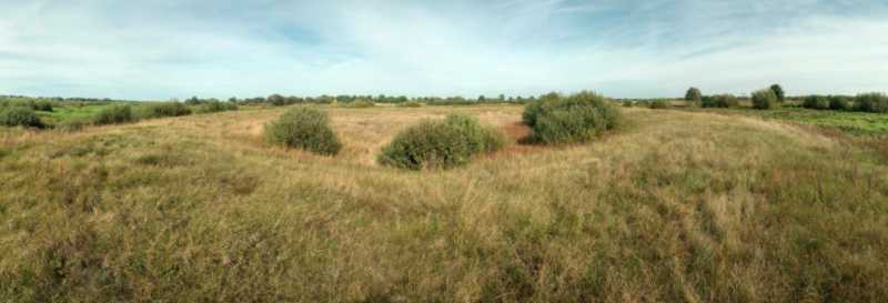 Фото 18 вересня 2018 р. з сайту commons.wikimedia.org Городище і селище –… Городище давньоруське