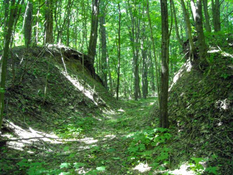 Фото Олексія Короті 28 червня 2018 р. з сайту commons.wikimedia.org Городище… Городище скіфського часу