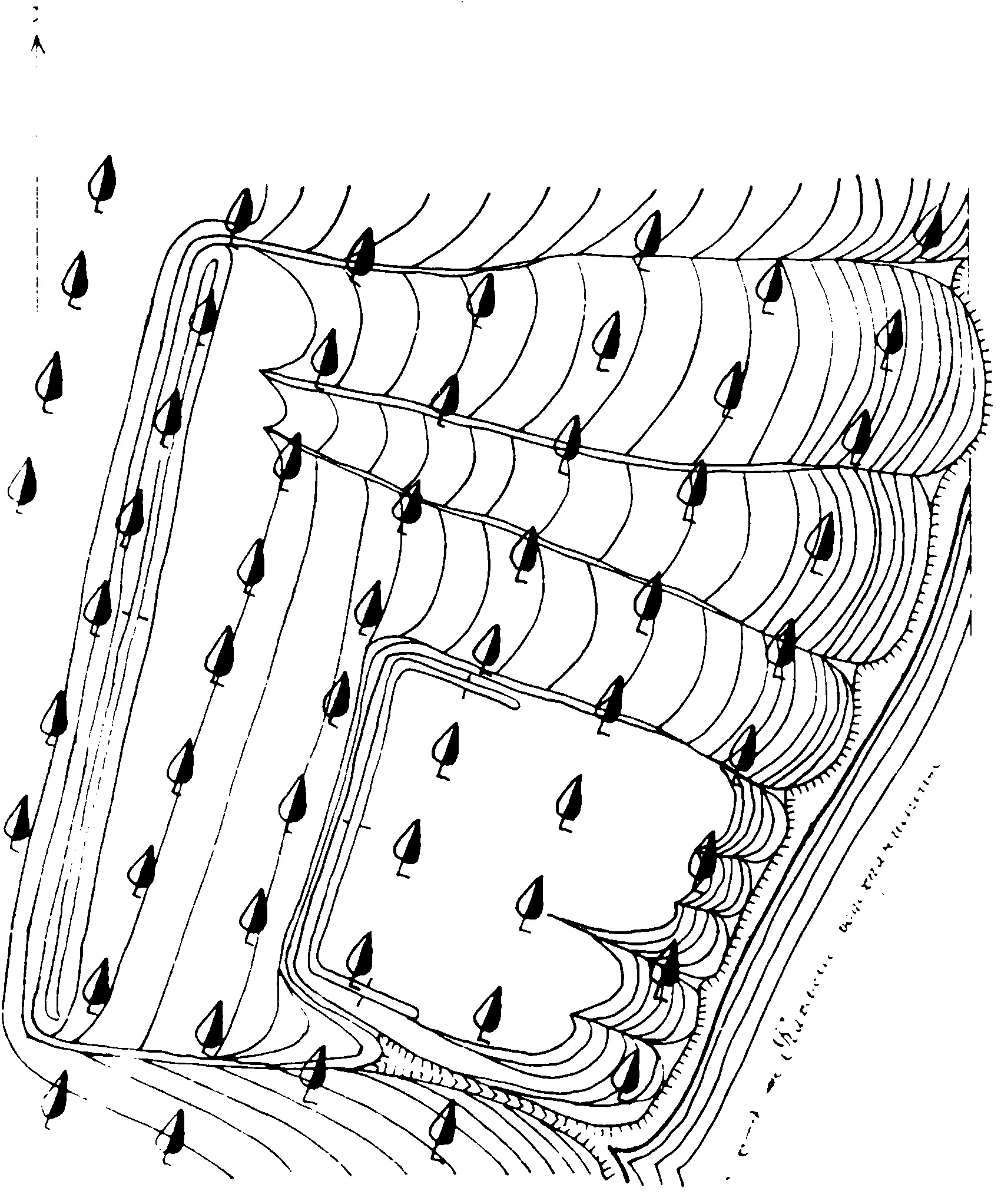 Саблуківське городище – пам’ятка археології (ранній залізний вік, скіфська… Саблуківське городище