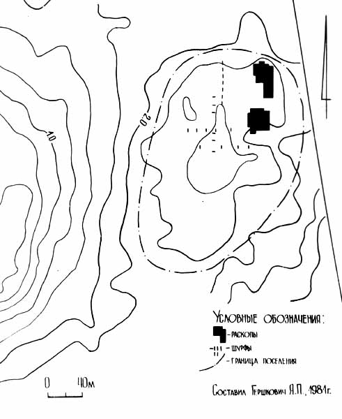 Новокиївське поселення