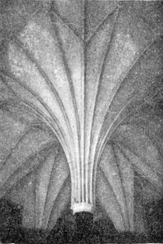 [1900 р.] Склепіння трапезної